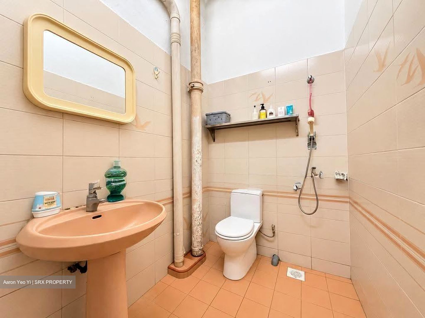 Serangoon Garden Estate (D19), Terrace #636426591